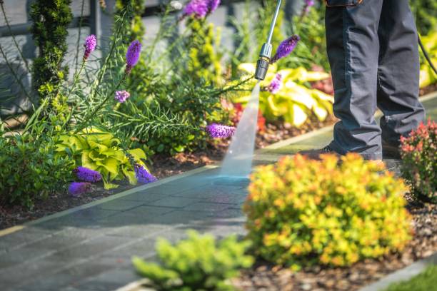 Best Fence Cleaning  in Edwardsville, KS